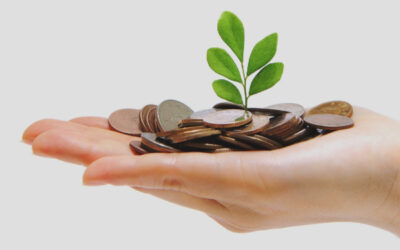 Come impostare un bilancio ESG: struttura, dati e indicatori chiave